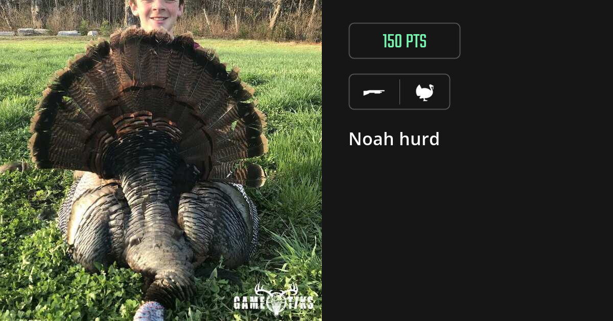 turkey harvest by Noah hurd