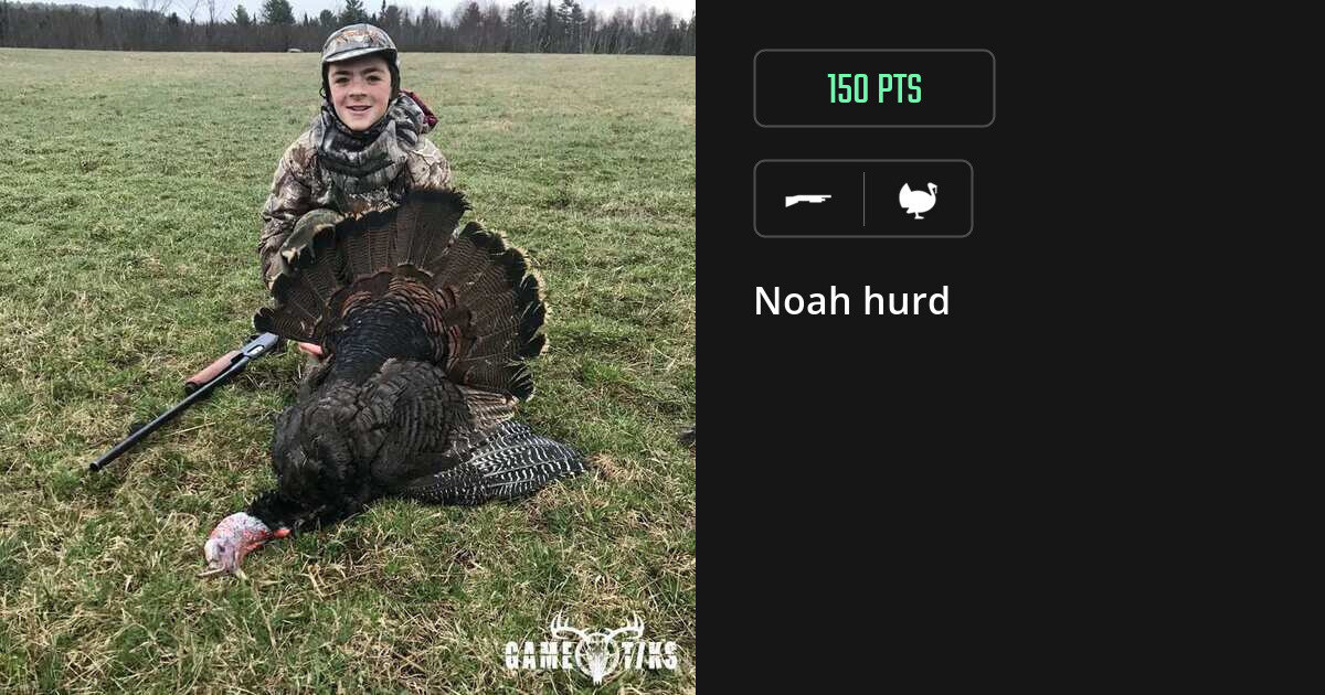 turkey harvest by Noah hurd