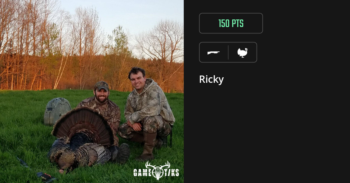 Turkey harvest on Gametiks