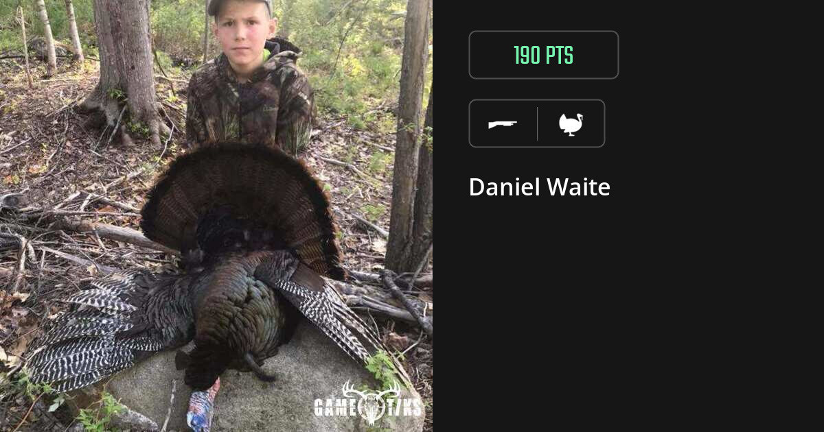 Turkey harvest on Gametiks