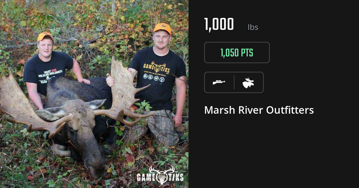 Moose harvest on Gametiks