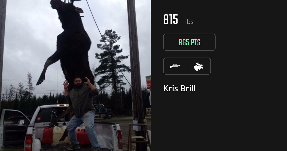 Moose harvest on Gametiks