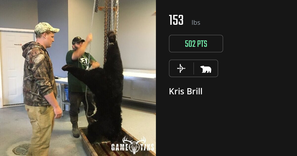 Bear harvest on Gametiks