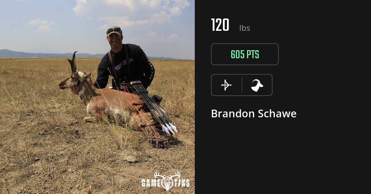 Bovid harvest on Gametiks
