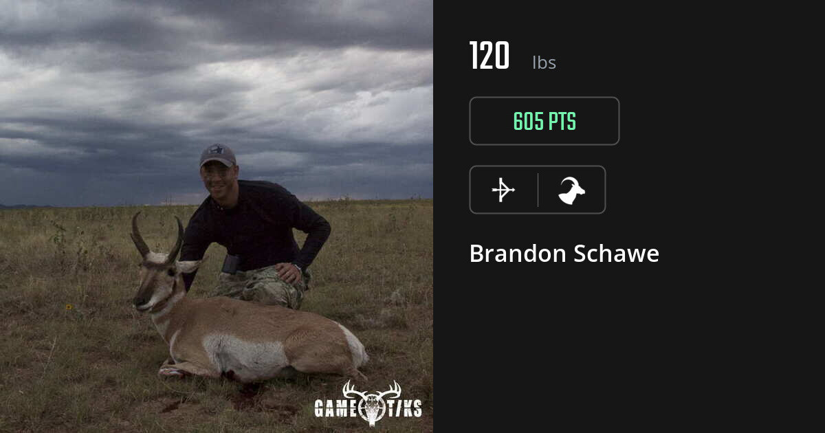 Bovid harvest on Gametiks