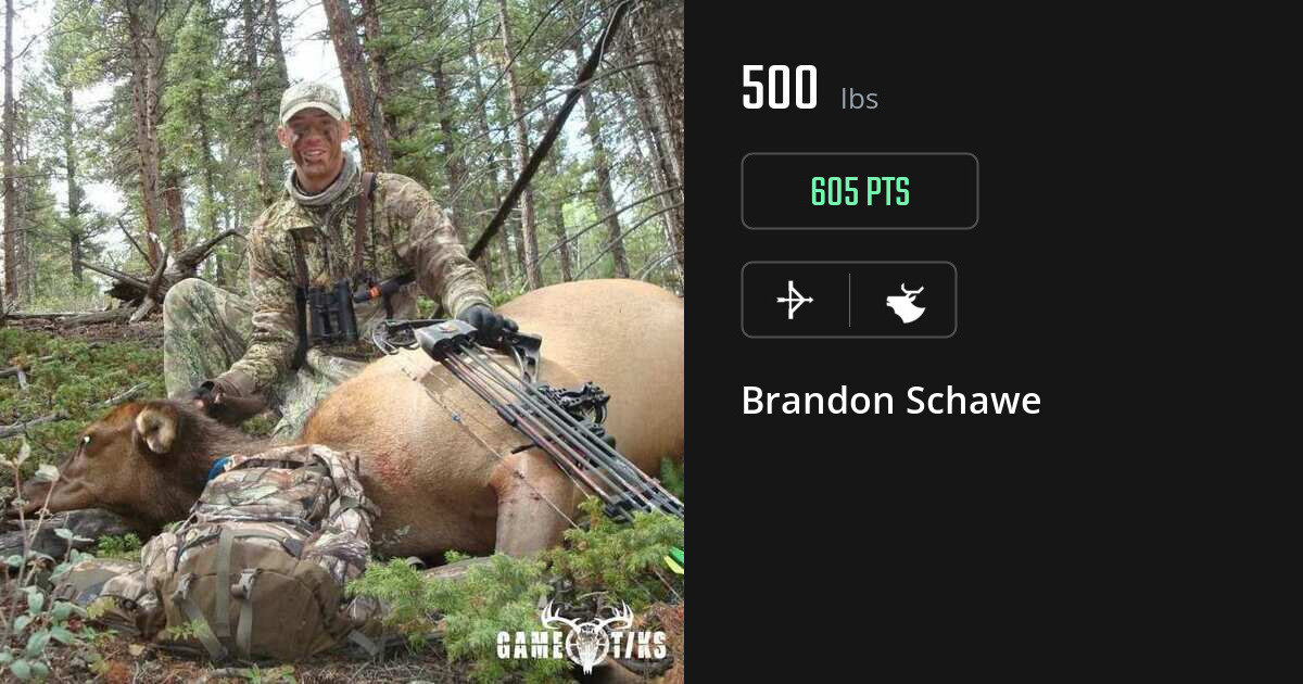 Elk harvest on Gametiks