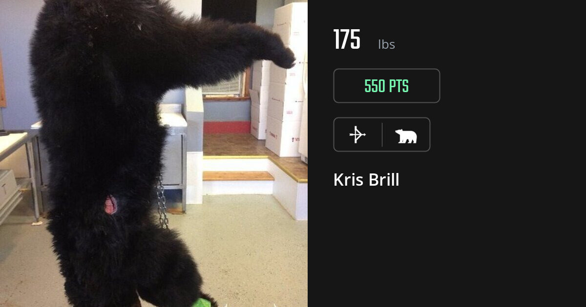 Bear harvest on Gametiks