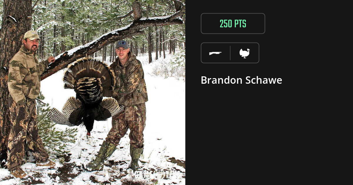 Turkey harvest on Gametiks
