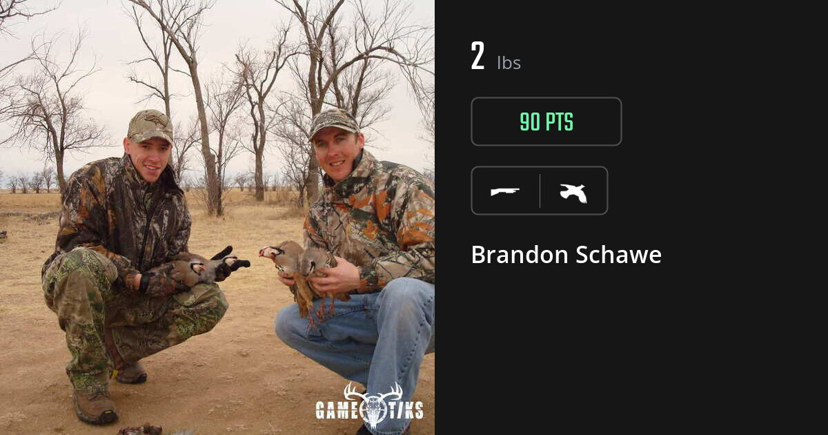 upland_bird harvest by Brandon Schawe
