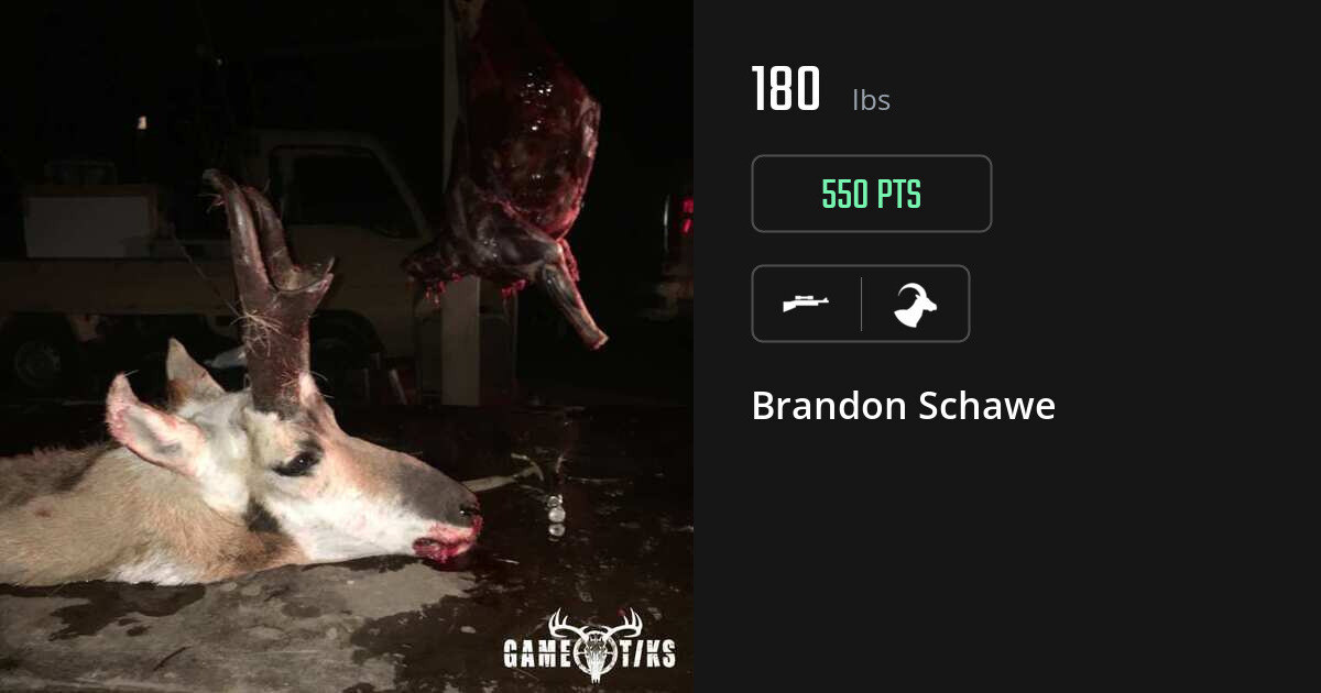 bovid harvest by Brandon Schawe