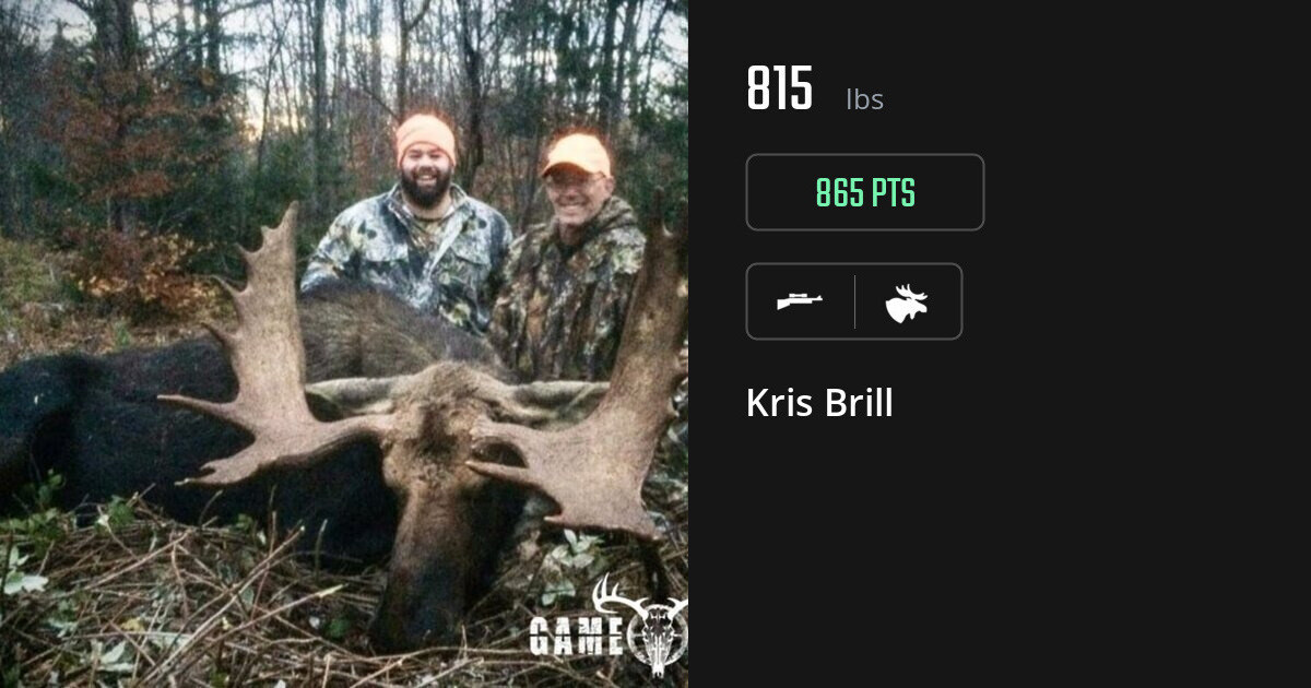 Moose harvest on Gametiks