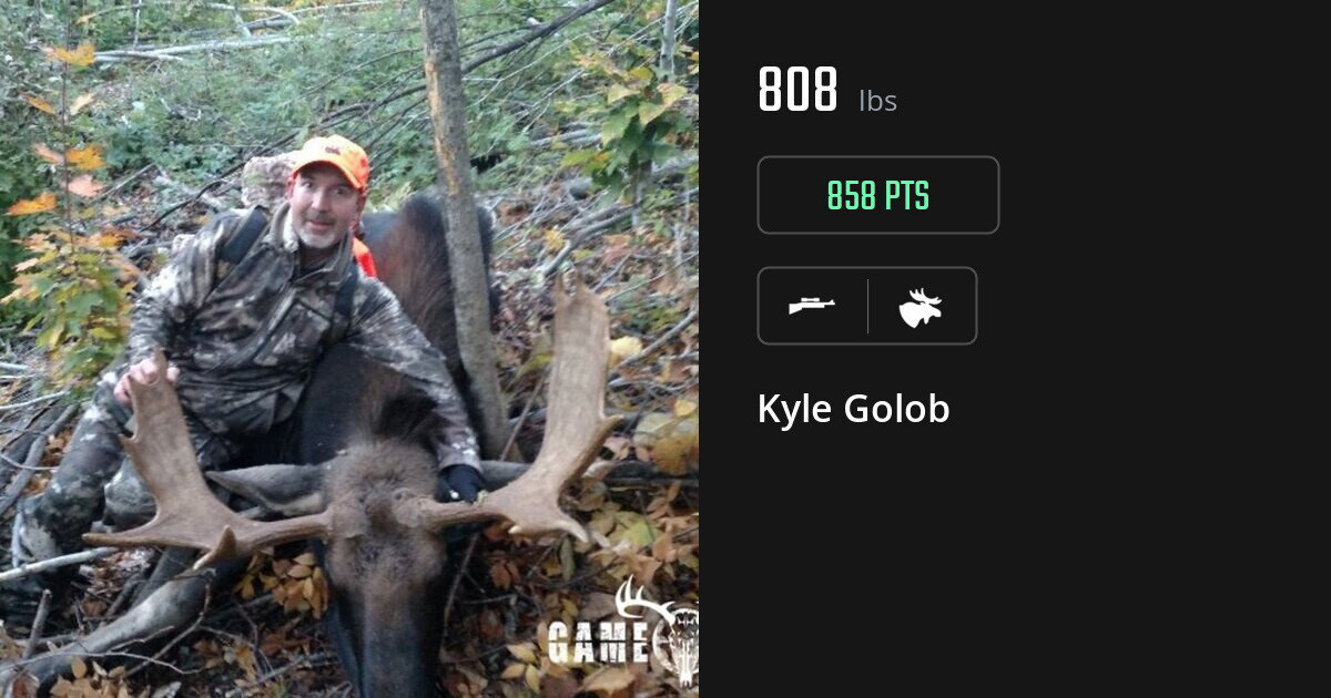 Moose harvest on Gametiks