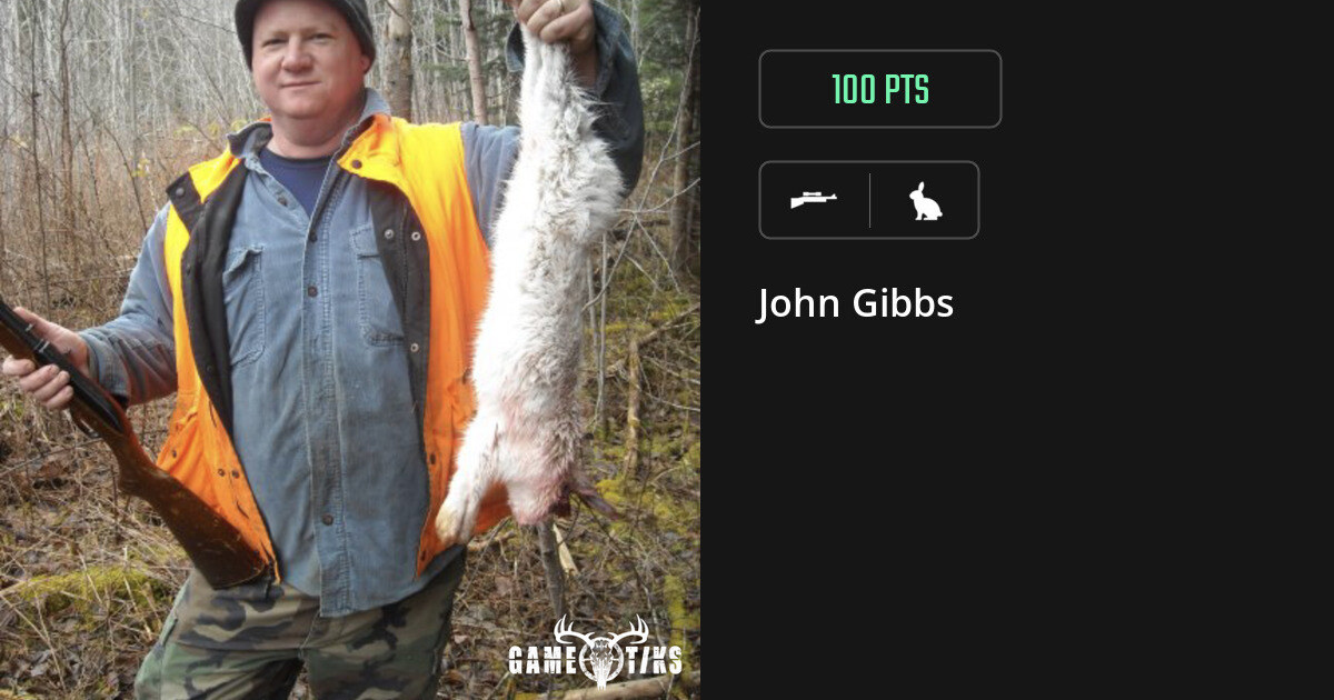 Rabbit harvest on Gametiks