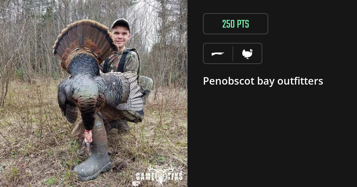 turkey harvest by Penobscot bay outfitters