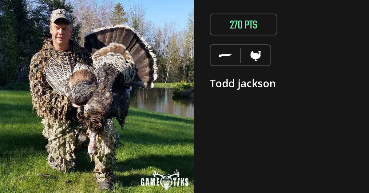 turkey harvest by Todd jackson