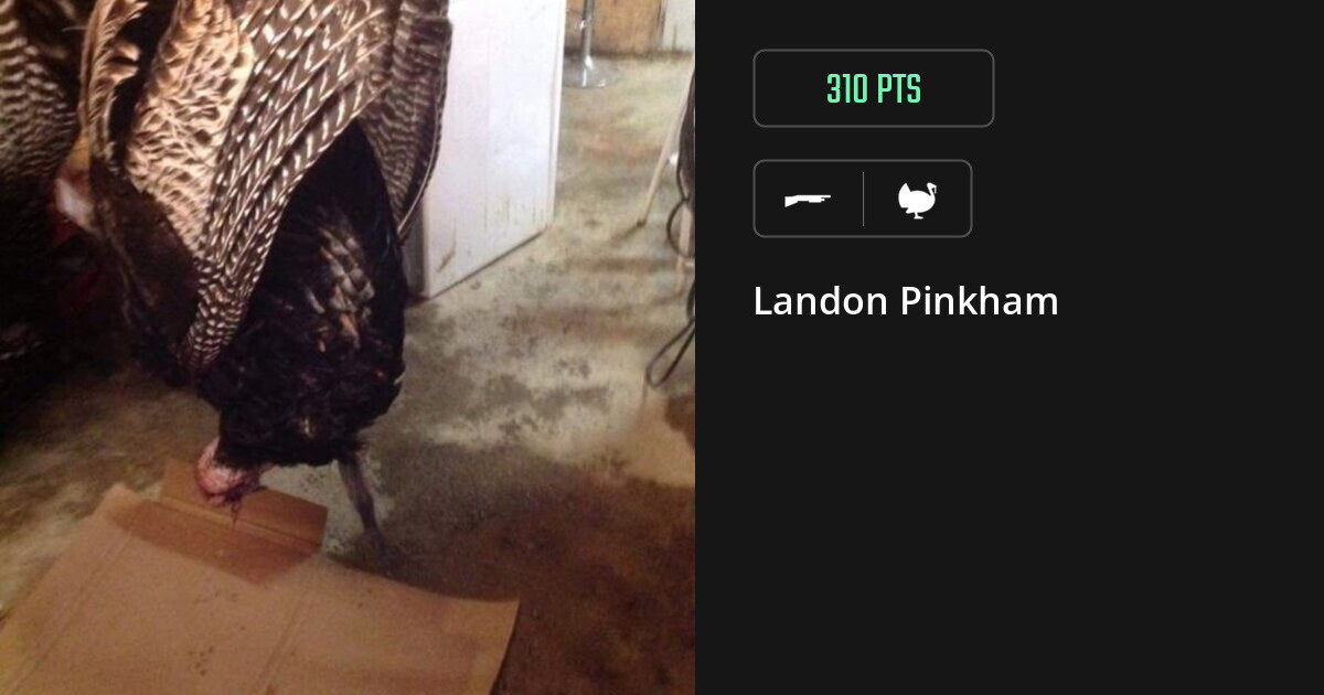 Turkey harvest on Gametiks