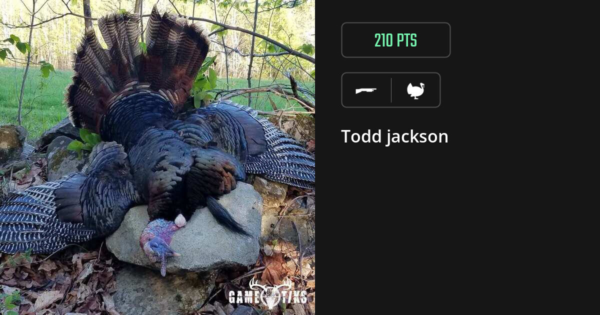turkey harvest by Todd jackson