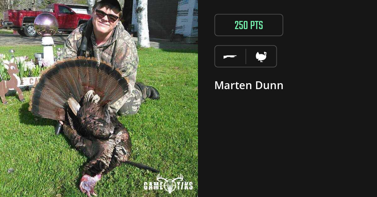 Turkey harvest on Gametiks