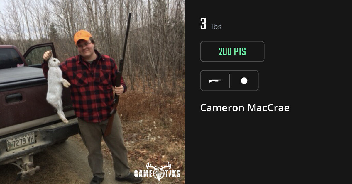 Miscellaneous harvest on Gametiks