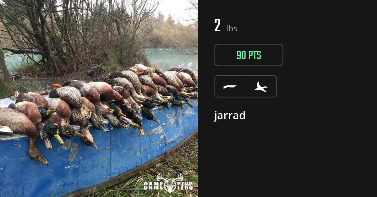 waterfowl harvest by jarrad