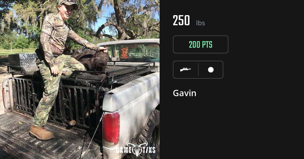 Miscellaneous harvest on Gametiks