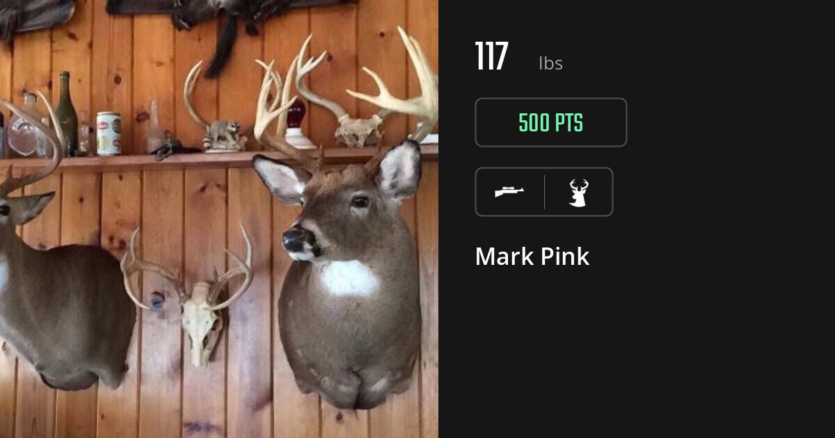 deer harvest by Mark Pink