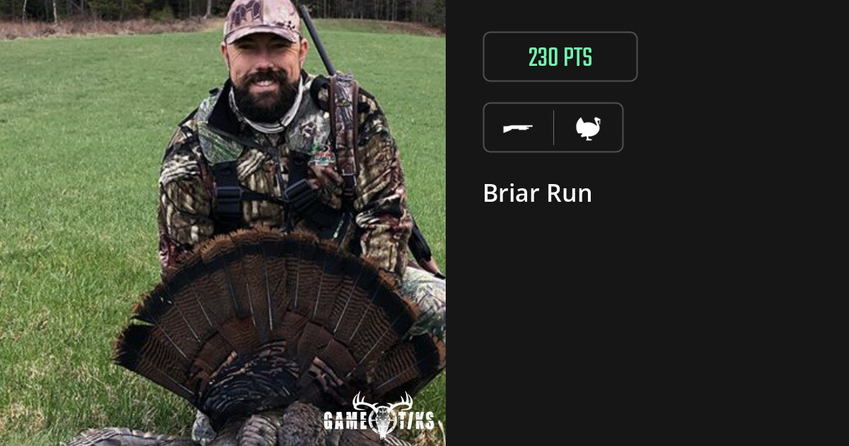 Turkey harvest on Gametiks