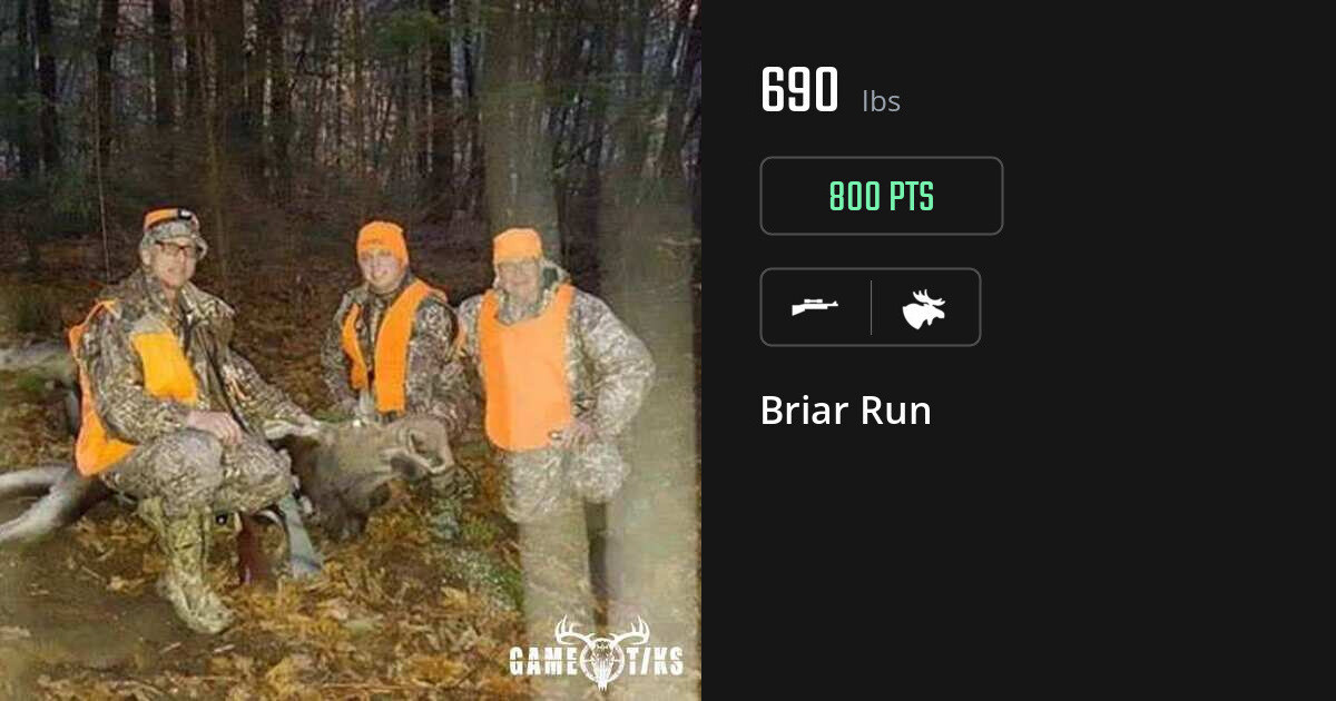 Moose harvest on Gametiks