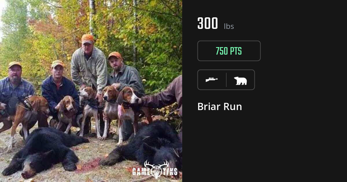 Bear harvest on Gametiks