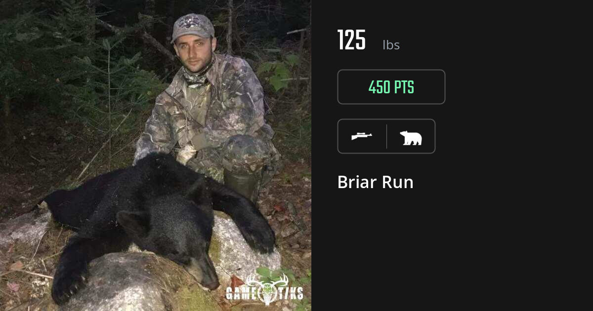 Bear harvest on Gametiks