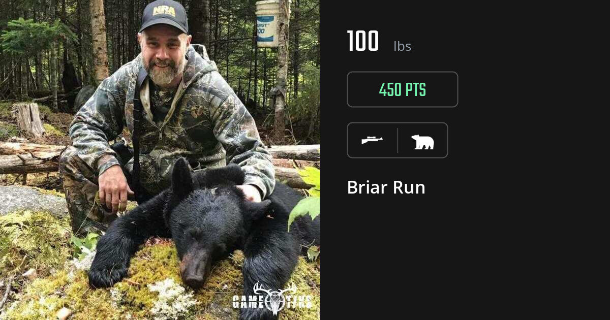 Bear harvest on Gametiks