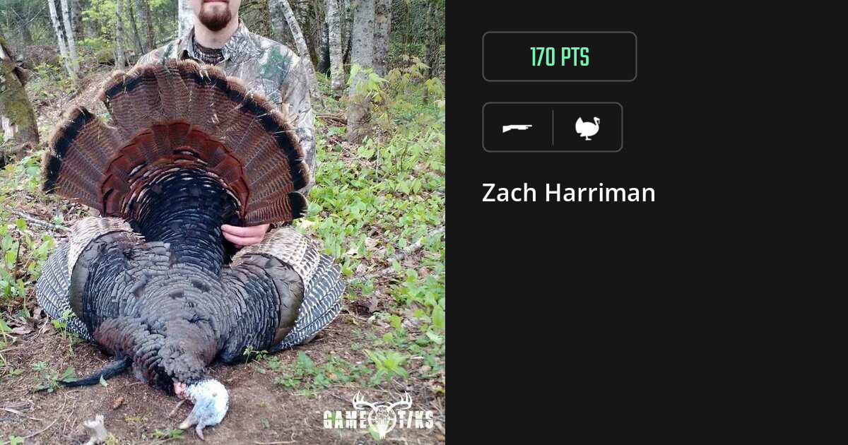 Turkey harvest on Gametiks