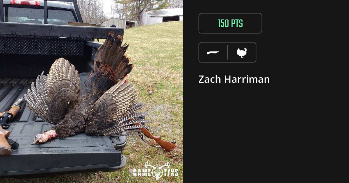 Turkey harvest on Gametiks