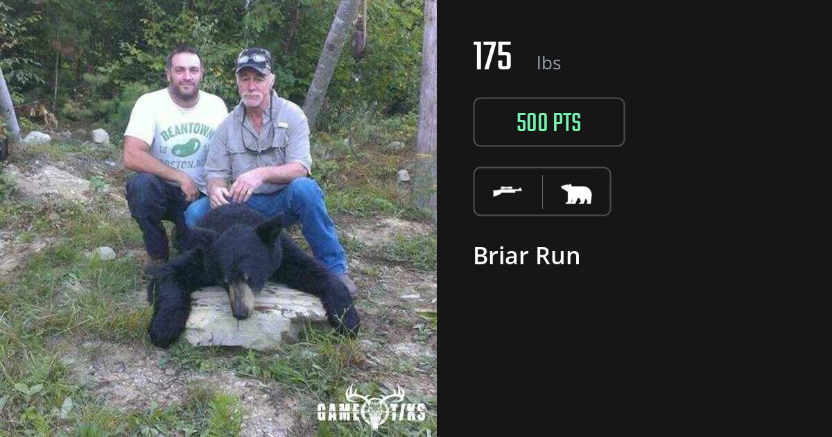Bear harvest on Gametiks