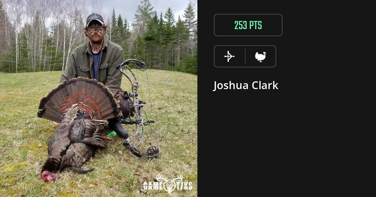 Turkey harvest on Gametiks