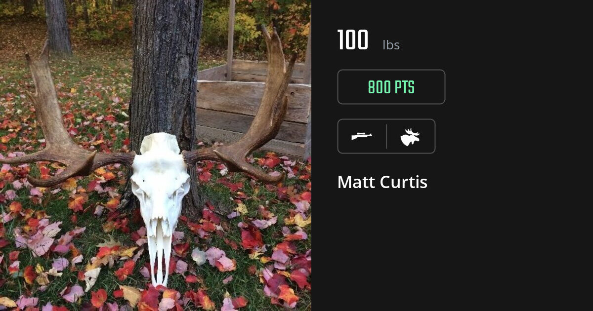 Moose harvest on Gametiks