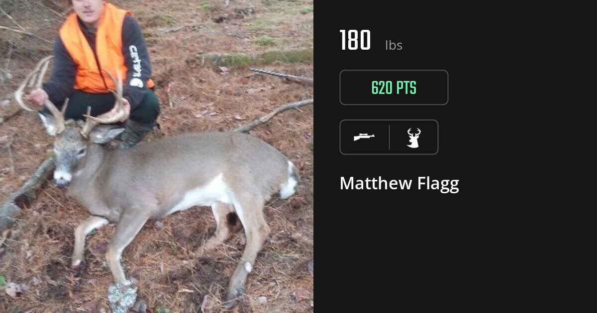 Deer harvest on Gametiks