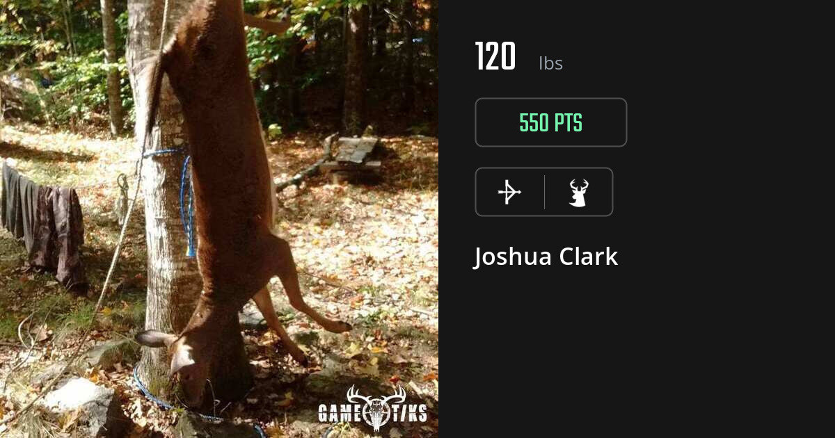 deer harvest by Joshua Clark
