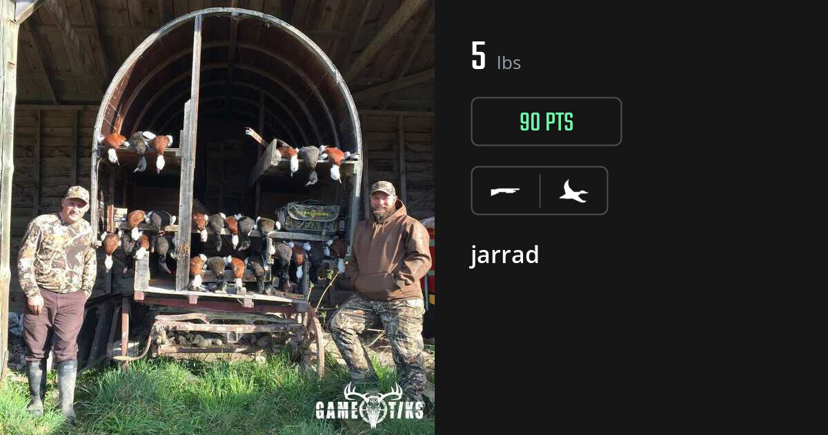 waterfowl harvest by jarrad