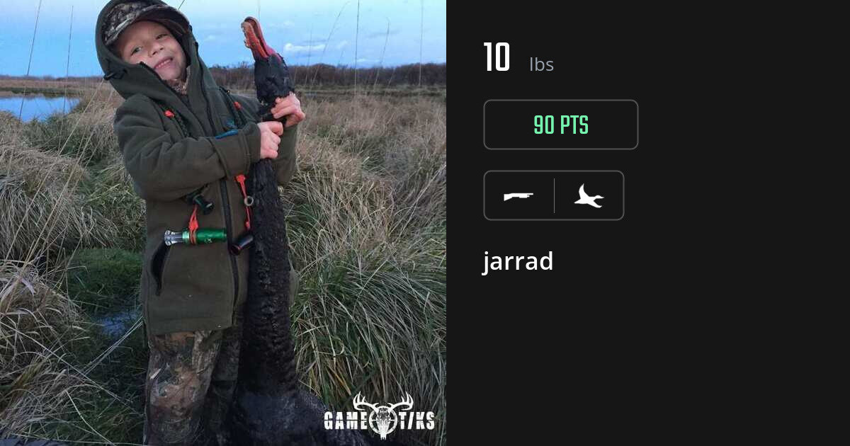 Waterfowl harvest on Gametiks