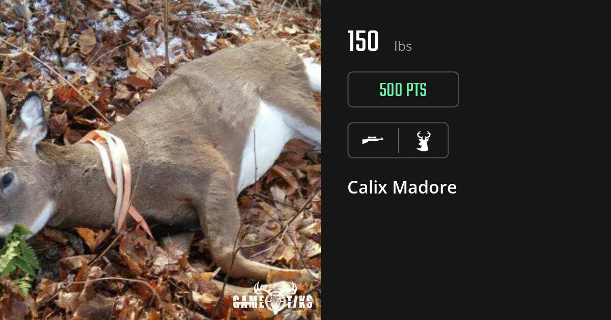 deer harvest by Calix Madore