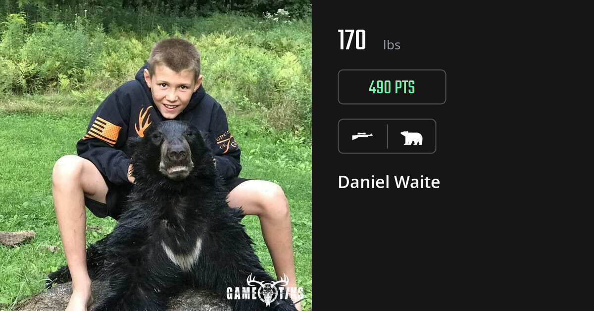 Bear harvest on Gametiks