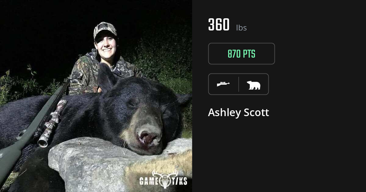 Bear harvest on Gametiks