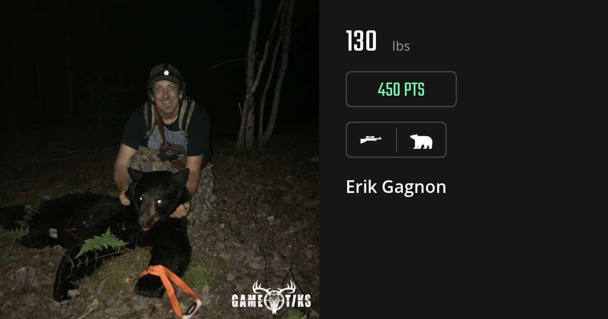 Bear harvest on Gametiks