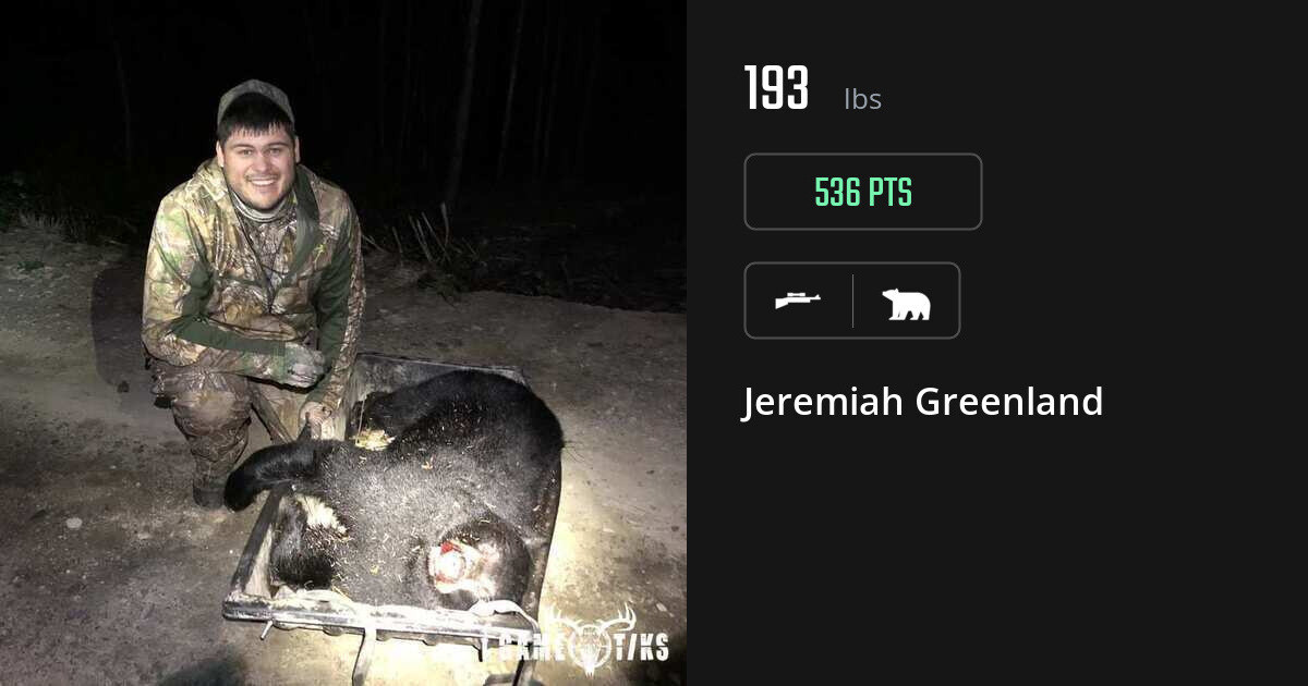 bear harvest by Jeremiah Greenland