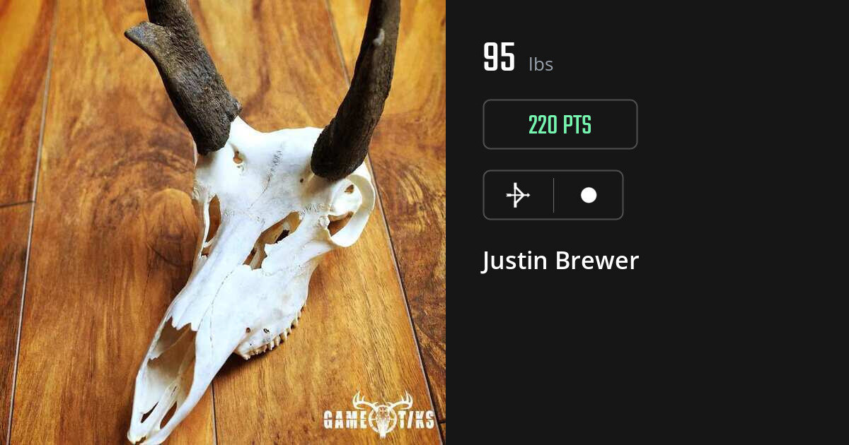 miscellaneous harvest by Justin Brewer