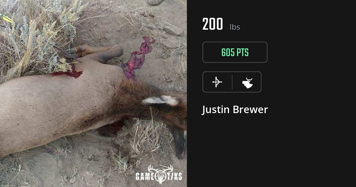 elk harvest by Justin Brewer