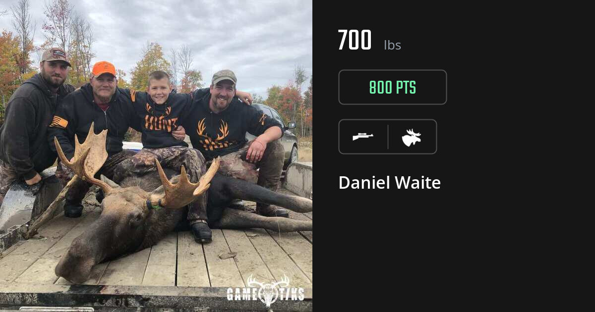 Moose harvest on Gametiks