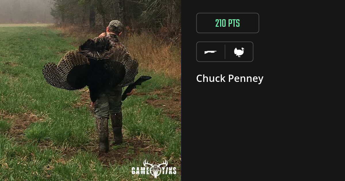 turkey harvest by Chuck Penney